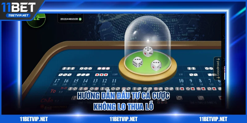 Hướng dẫn đầu tư cá cược không lo thua lỗ