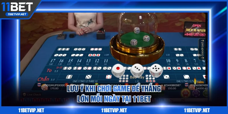 Lưu ý khi chơi game để thắng lớn mỗi ngày tại 11BET